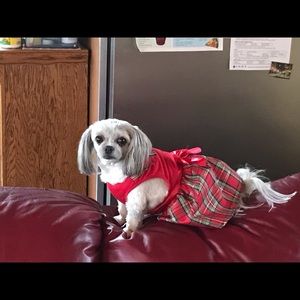 Meet your Posher, Ben